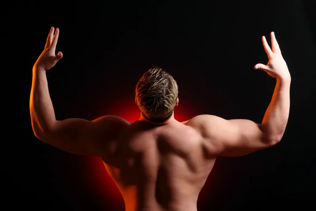 stano-em-comprimido-para-definicao-muscular.webp