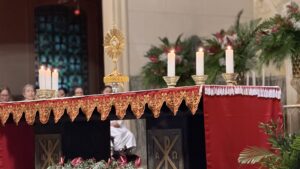 IMG_0266-scaled.jpeg